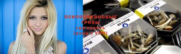 герыч Алексеевка