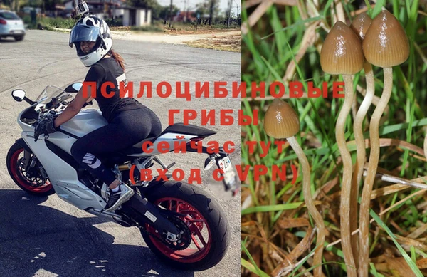 наркотики Алексин