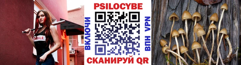 Псилоцибиновые грибы Psilocybine cubensis  shop телеграм  Киров 
